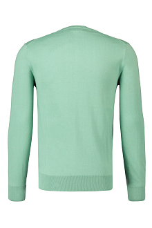 Ralph Lauren Trui