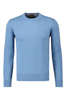 Hugo Boss Trui