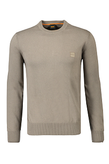 Hugo Boss Trui