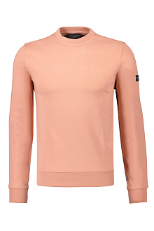 Cavallaro Sweater