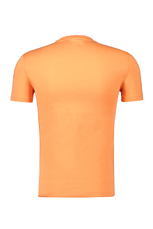 Ralph Lauren T-shirt