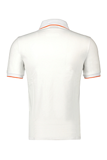 Cavallaro Polo
