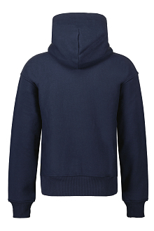 Pal Sports Hoodie