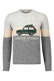 Jacob Cohen Trui