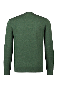 Ralph Lauren Trui