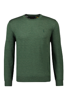 Ralph Lauren Trui