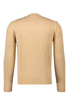 Ralph Lauren Trui