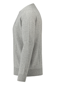 Ralph Lauren Trui