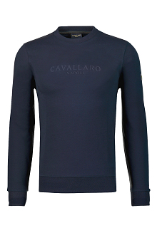 Cavallaro Sweater