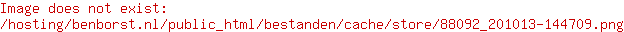 Santoni Schoenen
