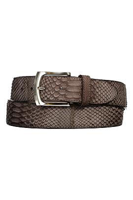 Riccamente Riem