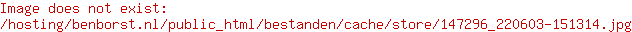 Santoni Schoenen