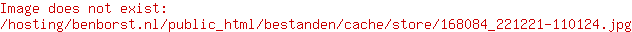 Santoni Schoenen