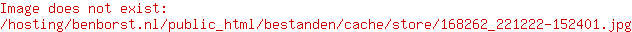 Santoni Schoenen