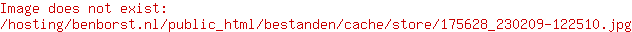 Santoni Schoenen