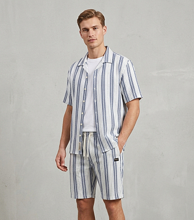 294816 alex stripe