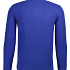 Ralph Lauren Trui