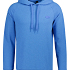 Alpha Tauri Hoodie