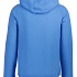 Alpha Tauri Hoodie