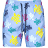 Vilebrequin Zwemshort
