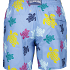 Vilebrequin Zwemshort