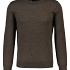 Ralph Lauren Trui