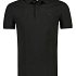 Lacoste Polo