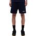 248305 signature shorts navy 365521
