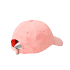 Ralph Lauren Cap