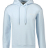 FLÂNEUR Hoodie
