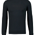Cavallaro Sweater