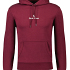 Ralph Lauren Hoodie