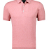 Cavallaro Polo