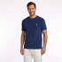 296918 ralphlaurendonkerblauw