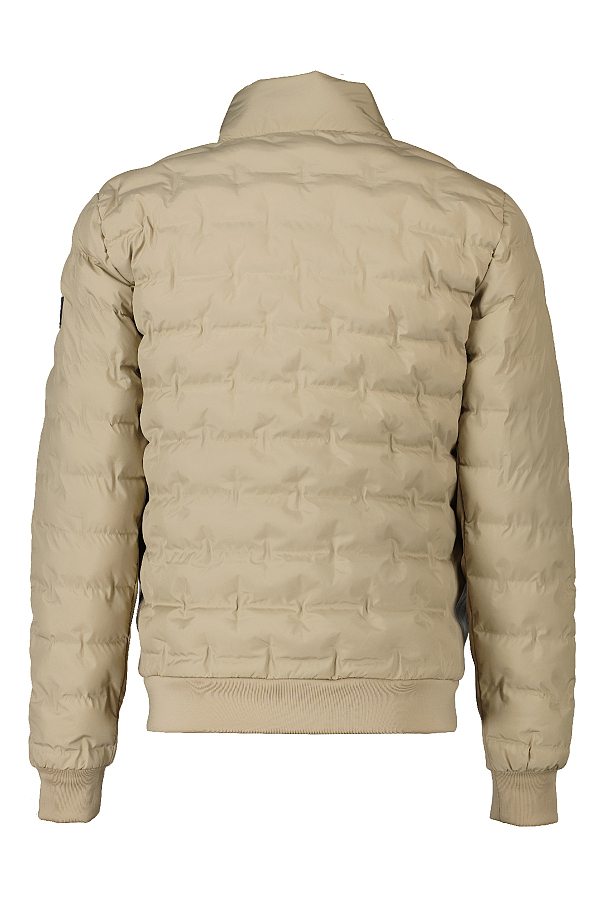 Cavallaro Jas