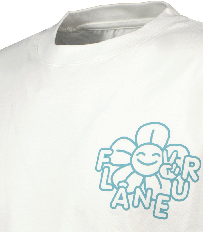 278943 251205 113754