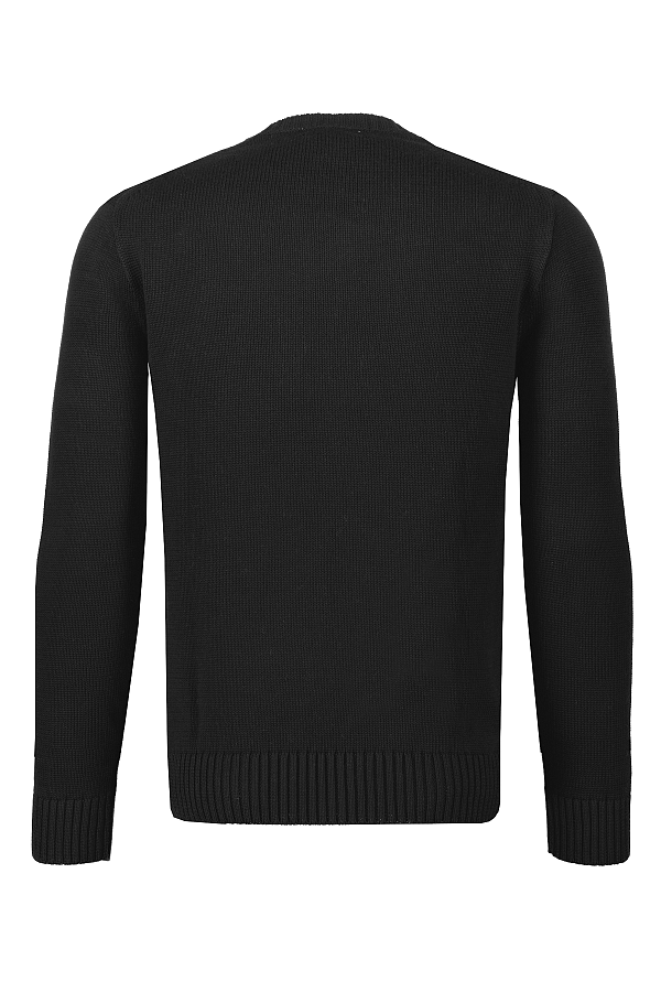 Ralph Lauren Trui