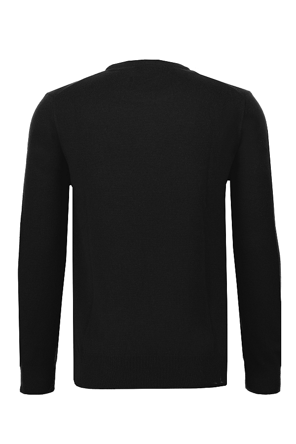 Ralph Lauren Trui